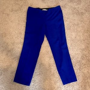 LOFT Dress Pants in Cobalt Blue